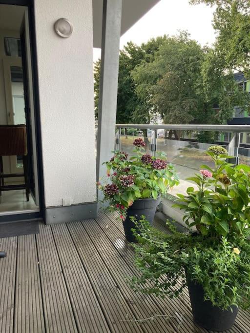 In Der Naehe Von Koeln Apartment
